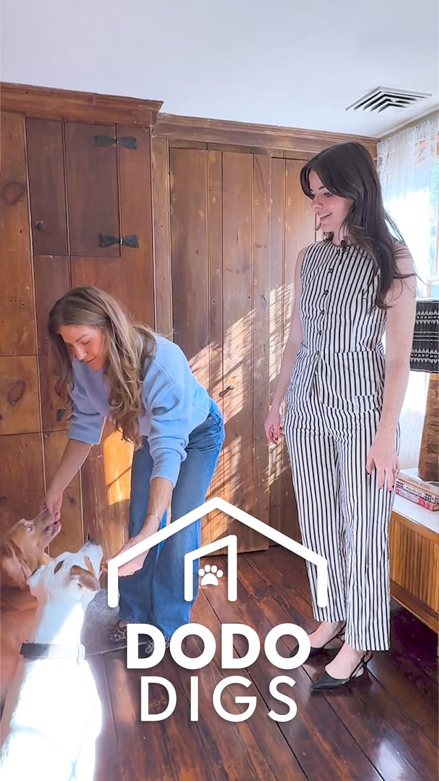 Instagram post by @rebeccakennedynyc for The Dodo. Caption reads: Of course there’s a whole closet just for dog....