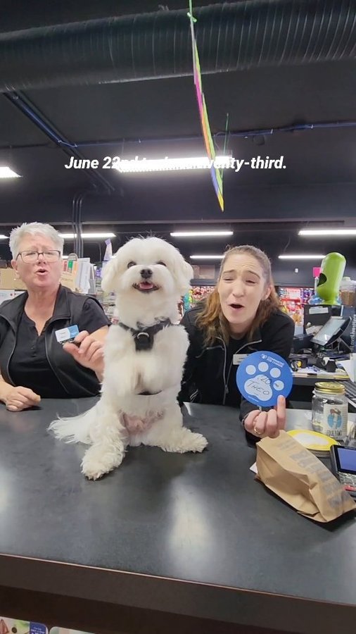 Instagram post by @toby_littledude for Pet Valu. Caption reads: [...] Pet Appreciation Month at Bosley’s....