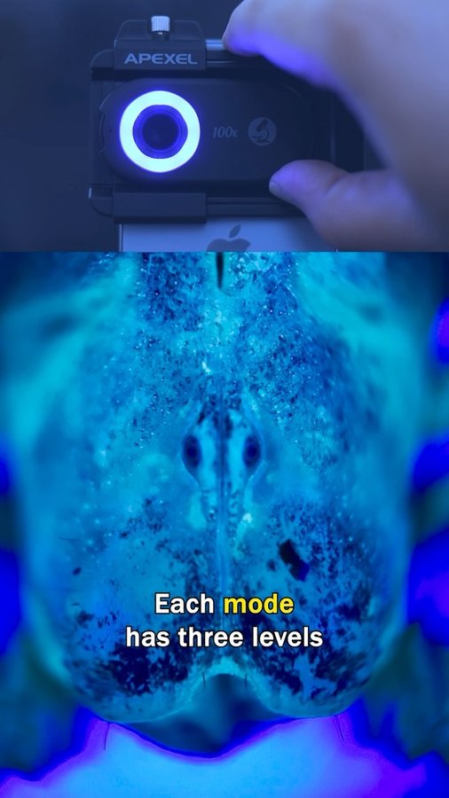 Instagram post by @oneminmicro for Apexel. Caption reads: [...] said, I am happy to share with you, the....