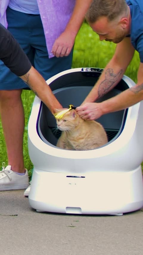 Instagram post by @areyoukiddingtv for PETLIBRO. Caption reads: Smart cats pick @Petlibro Luma smart litter box....