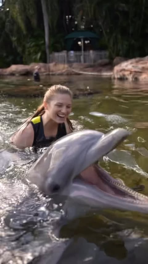 Instagram post by @eva.erickson for Visit Orlando. Caption reads: [...] and other unique sensory needs🐬🐬🐬....
