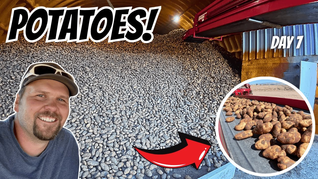 YouTube post by @RockyMountainFarmer for Farmers Defense. Caption reads: 10 Million Pounds of Potatoes Later….