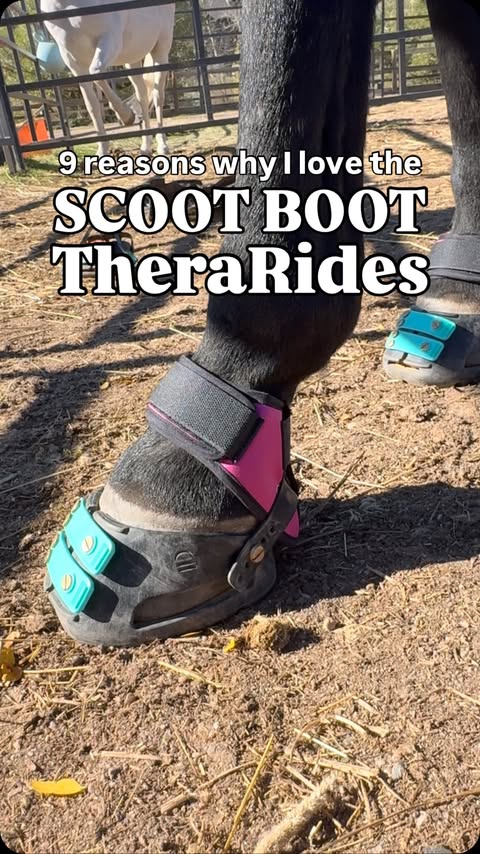 Instagram post by @todaywithgus for Scoot Boots. Caption reads: I have a lot of reasons to love the....