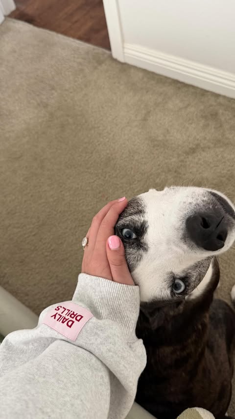 Instagram post by @bryanakay for blue buffalo. Caption reads: breakfast for two 🐾🥣 featuring @bluebuffalo Love....