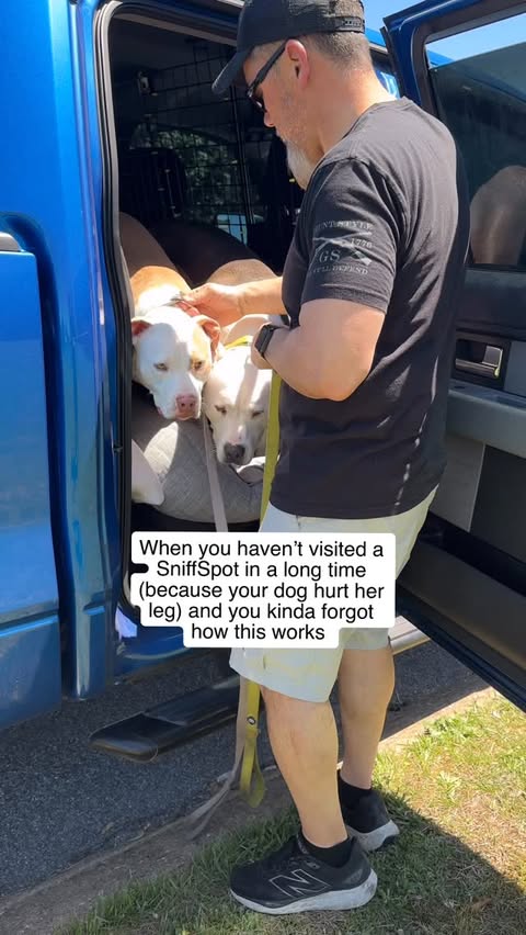 Instagram post by @annabelle_and_norman for Sniffspot. Caption reads: He broke the first rule of sniffspot before we....