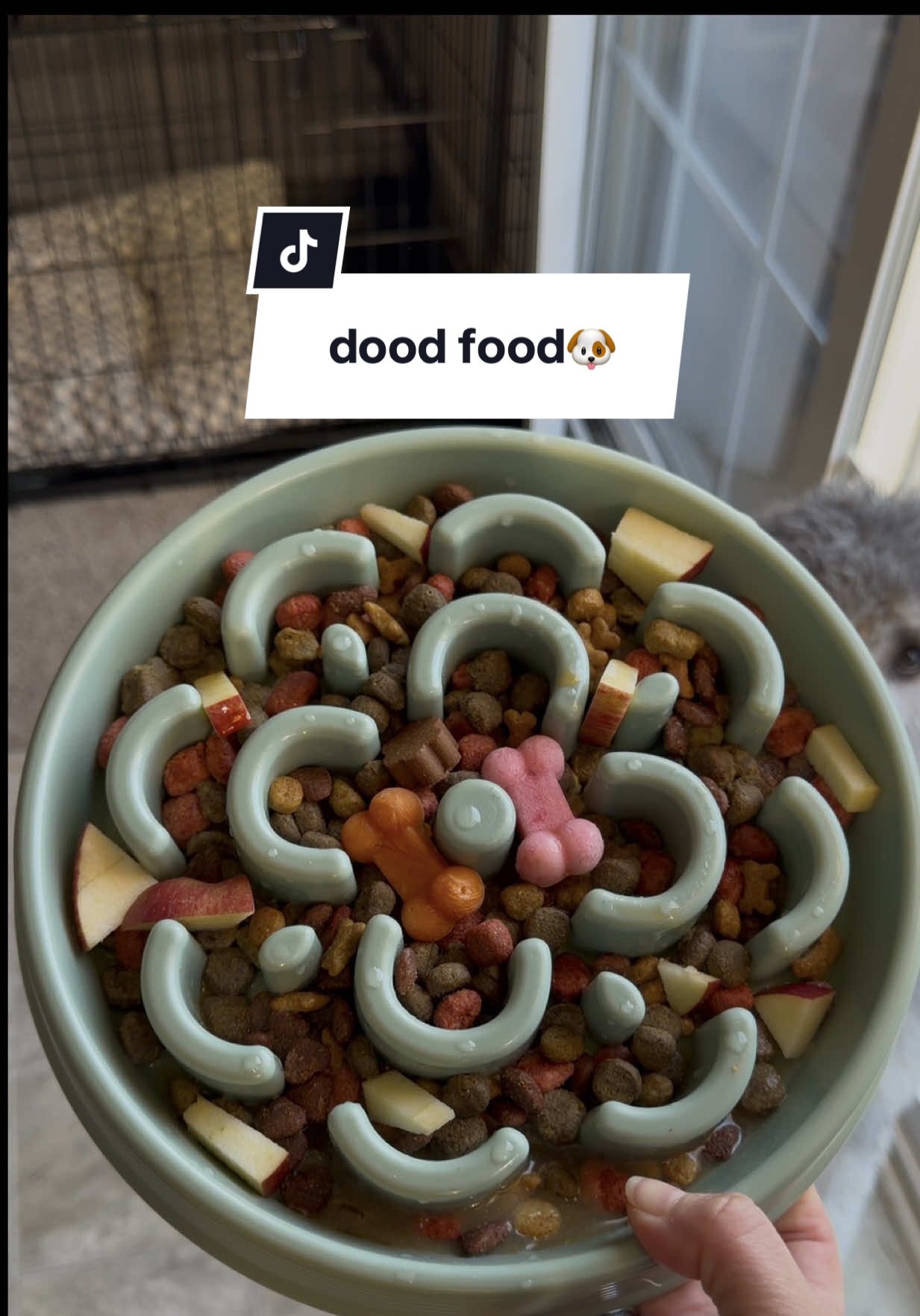 TikTok post by @nigoal_03 for Dog is Human. Caption reads: What Mochi & Miso eat for dinner 🐶 homemade....