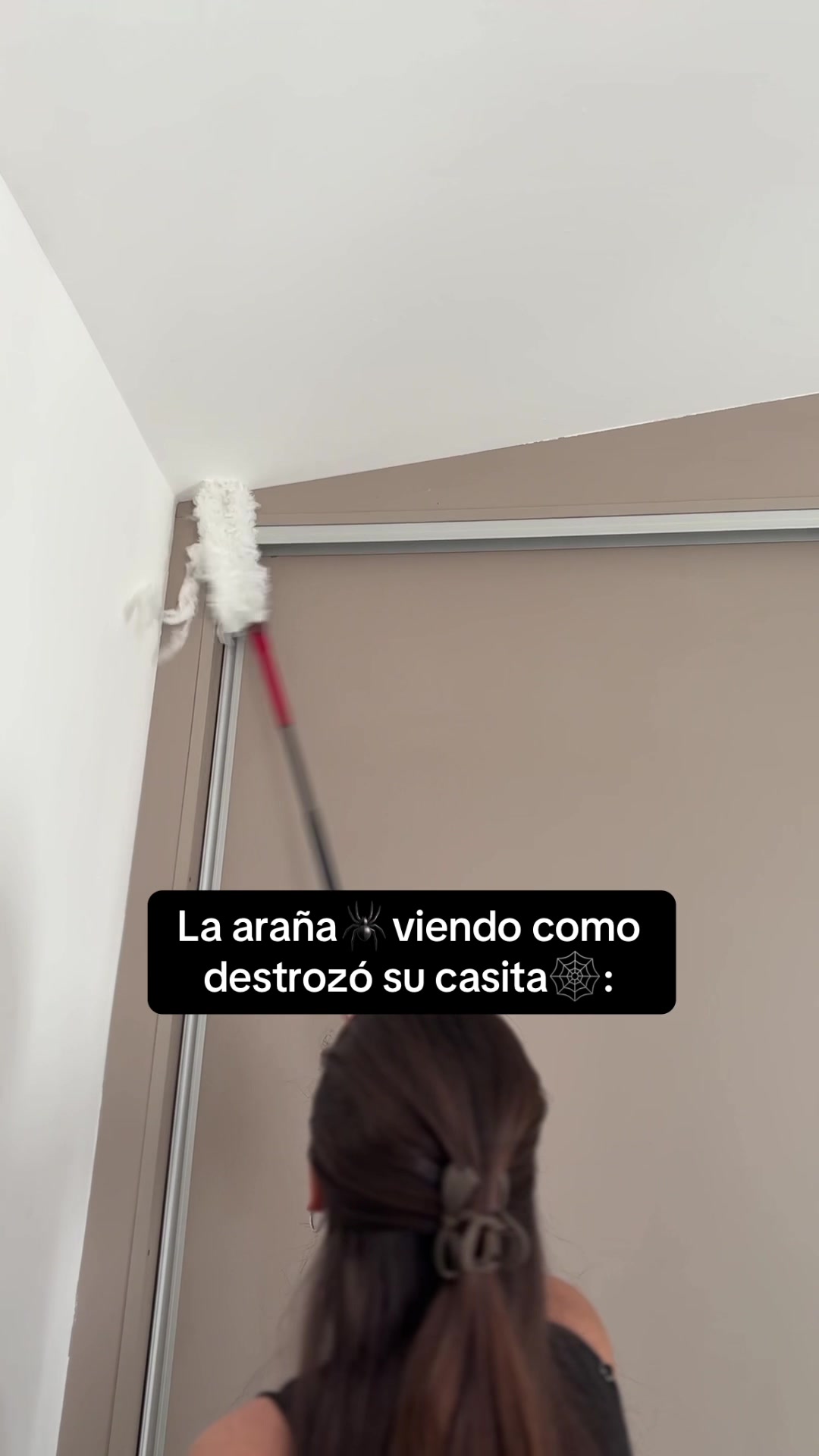 TikTok post by @pabloelpuppi for Vileda. Caption reads: @Vileda Argentina.