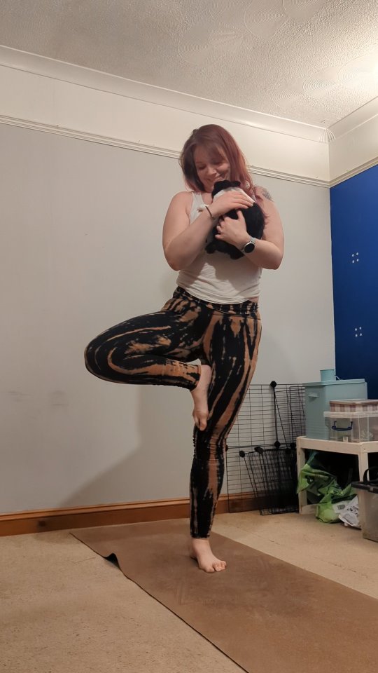 Instagram post by @sprytely for Uahpet. Caption reads: Welcome to my house of madness! I now have five....