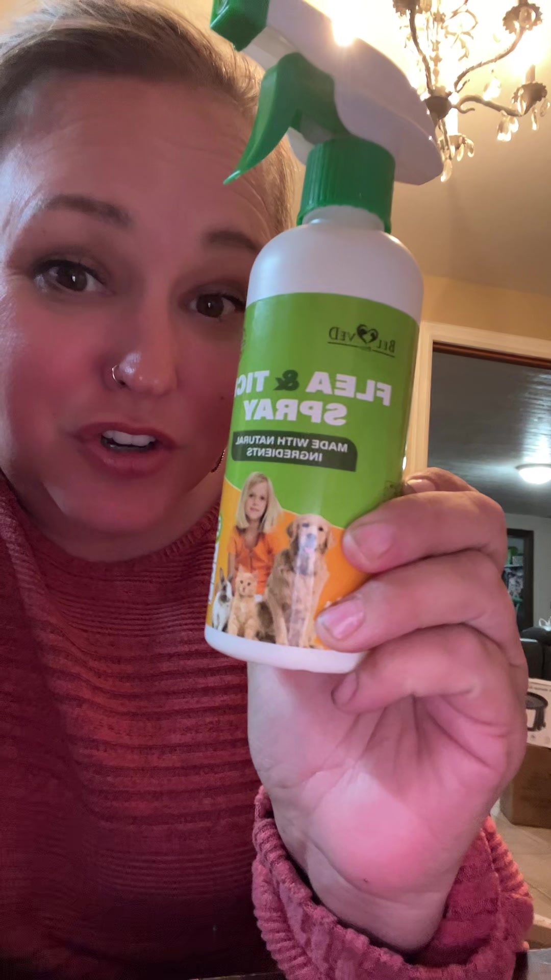 TikTok post by @amandasfavoritethings for Beloved Pets. Caption reads: Flea and tick spray by @Beloved Pets is MAGICAL .