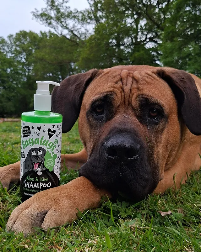 Instagram post by @bryni.and.bear for Bugalugs Pet Care. Caption reads: 🥝 GREEN GOODNESS IN A BOTTLE 🥝 The....
