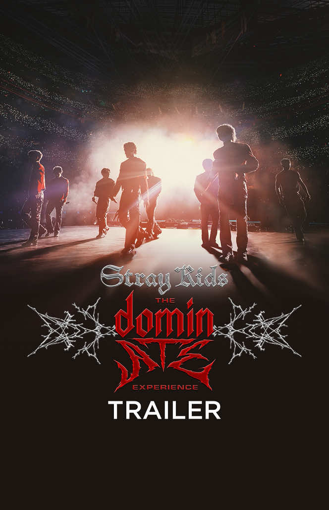 TikTok post by @bleeckerstfilms for Stray Kids. Caption reads: [...] what they really came for!” 🗓️ Watch Stray....