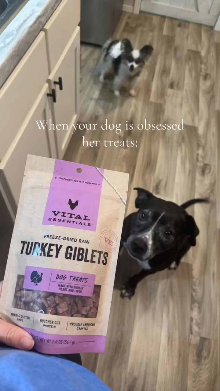 TikTok post by @sadieandurkel for Vital Essentials. Caption reads: @Vital Essentials Sadie LOVES you! Ft. Grandpa....