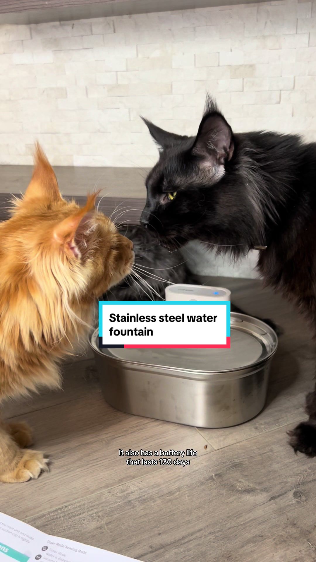 TikTok post by @wildmane_mainecoons for Uahpet Shop US. Caption reads: [...] is stainless steel litter boxes! @Uahpet....