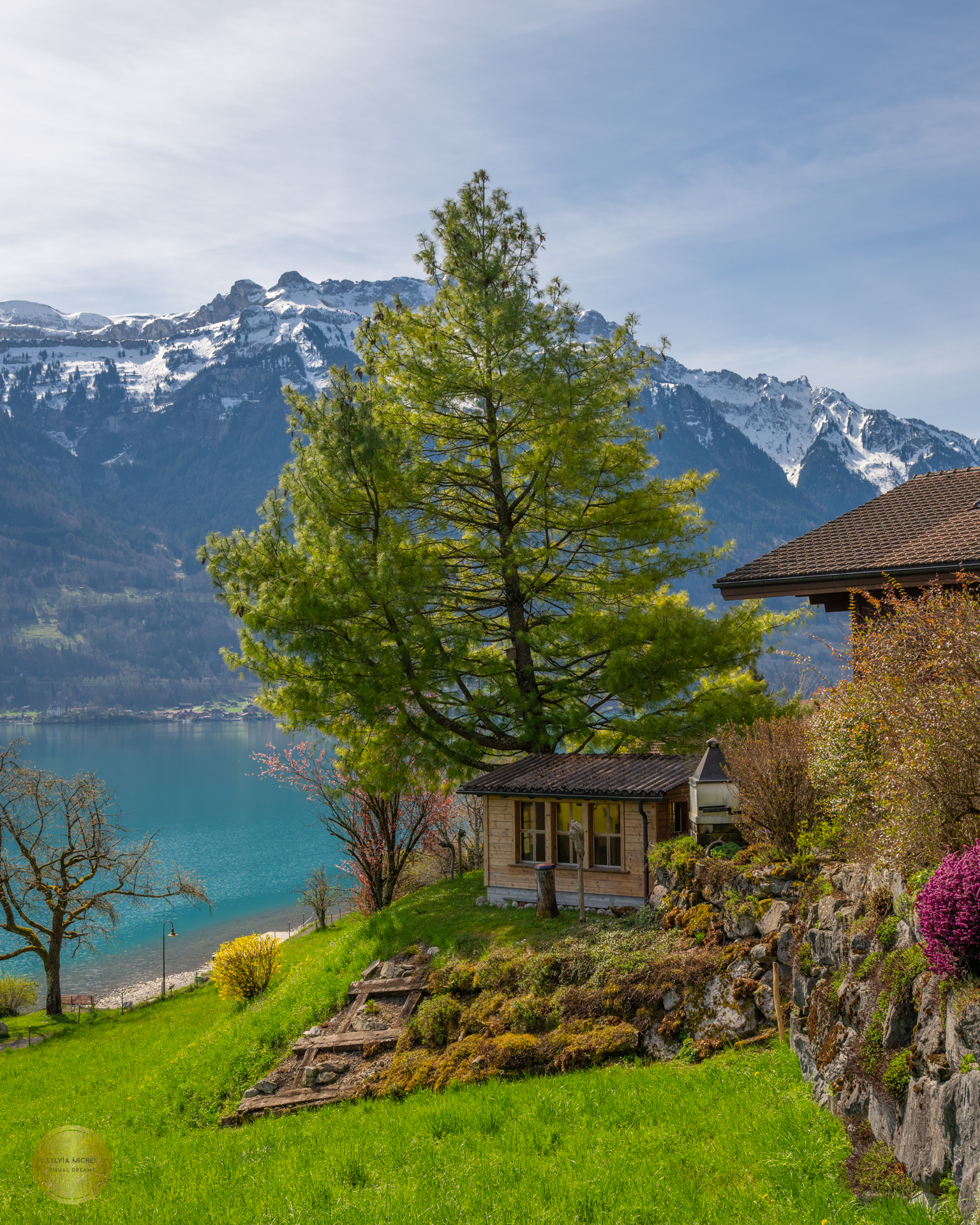 Instagram post by @michelphotographych for Nikon DACH. Caption reads: So far with April in Switzerland - what a....