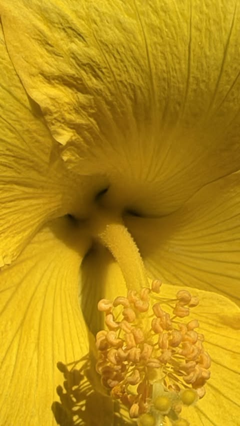 Instagram post by @taylornicolehayden for FARM Rio. Caption reads: [...] stay outside longer, and cozy up in @farmrio....