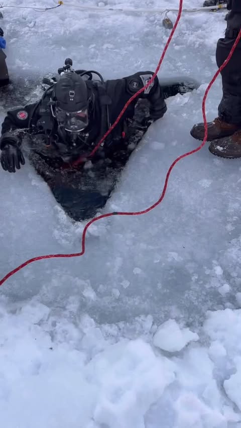 Instagram post by @elfitvic for Nordic Naturals. Caption reads: #ad Partnering with @nordicnaturals for the New....