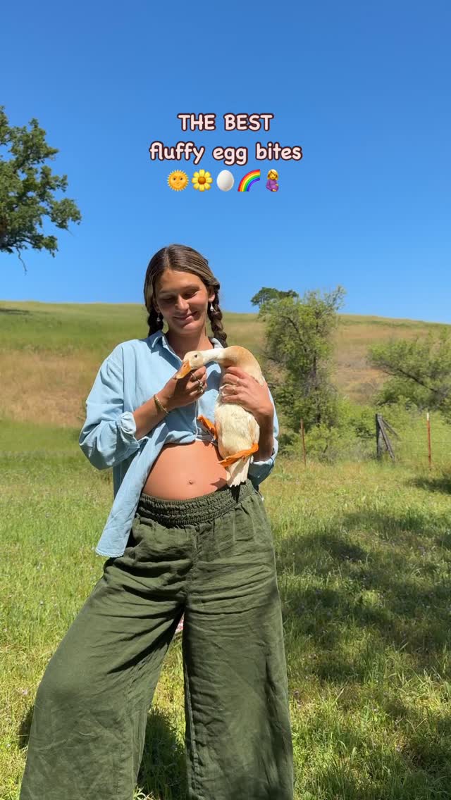 Instagram post by @wholehanna for Primally Pure. Caption reads: fluffy HIGH-PROTEIN egg bites....