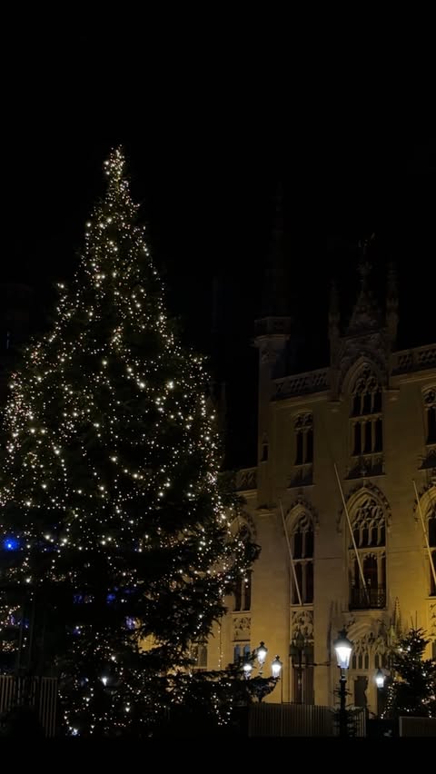 Instagram post by @_annabellehooper for SexyHair. Caption reads: the ONLY routine to get my fine straight hair to....