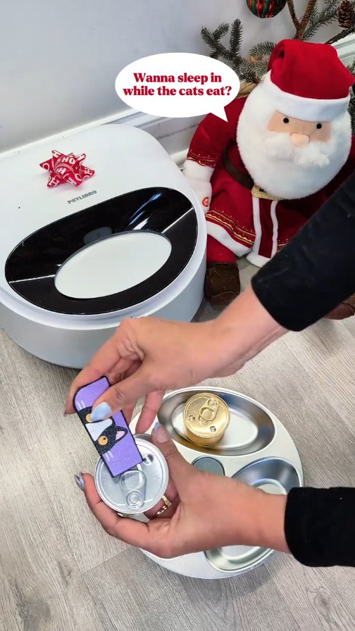 Instagram post by @itscookie.cat for Petlibro. Caption reads: [...] for 20% off when you get it from @petlibro....