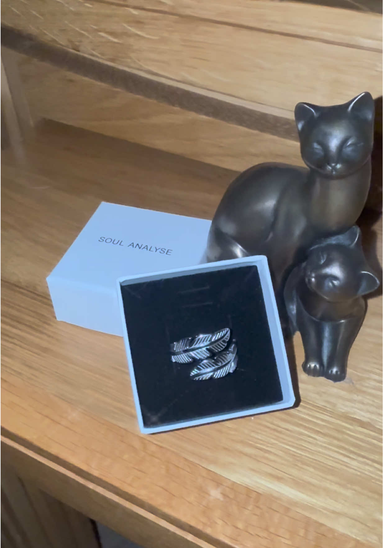 TikTok post by @kittys5285 for Soul Analyse. Caption reads: ✨ “Feathered Whispers” ✨ Soft as a memory, strong....