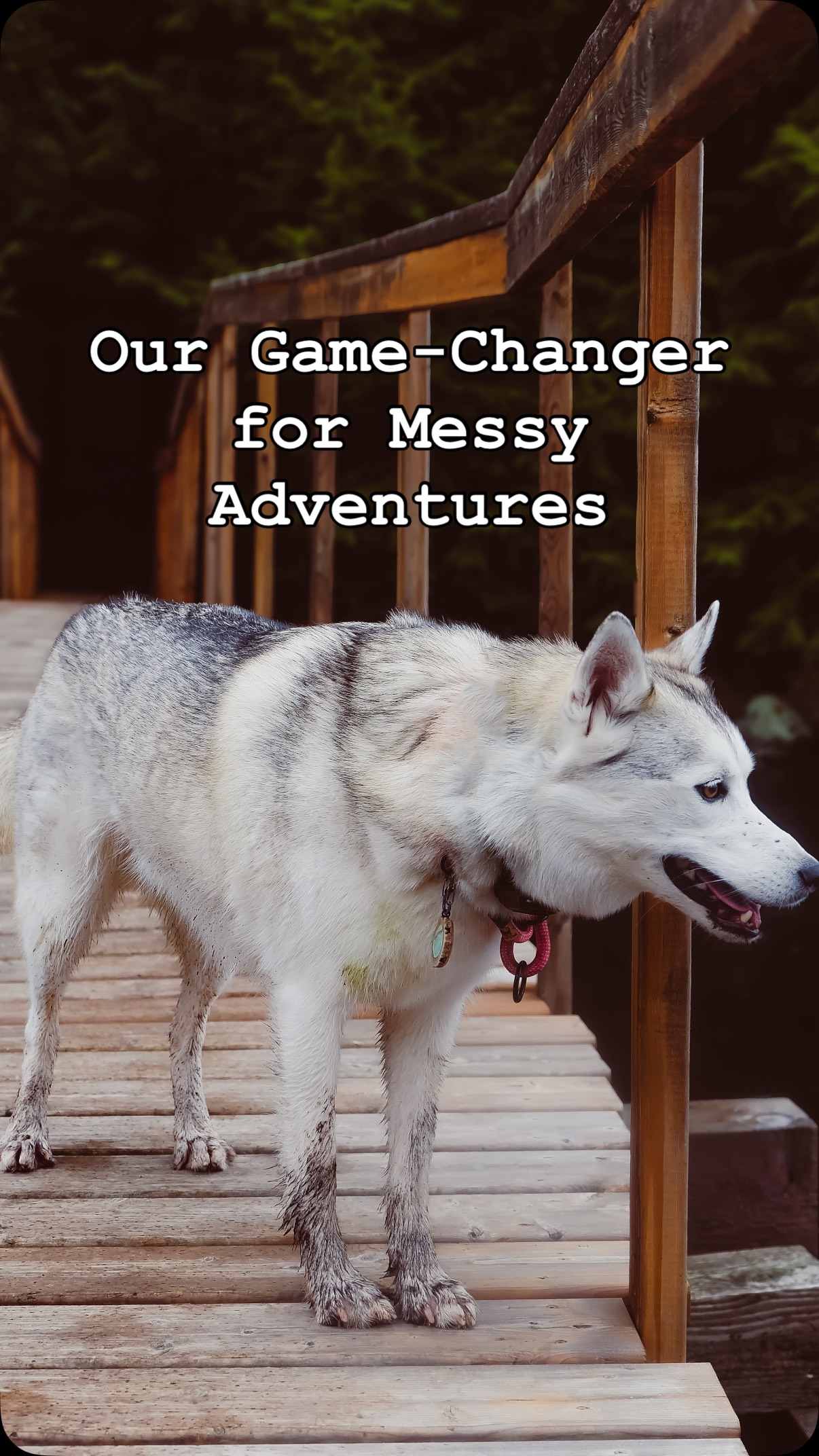 Instagram post by @whilewearefree for TuxMat. Caption reads: [...] beach days to muddy hikes with Astrid —....