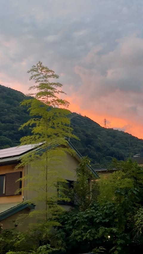 Instagram post by @creamy_confusion for Intrepid Travel. Caption reads: 🇯🇵 Big love to @intrepidtravel for sending me....