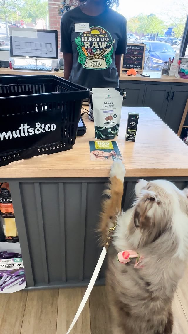 Instagram post by @cavakisses for Pet Releaf. Caption reads: [...] for you to stock up and get your 🐾 on....