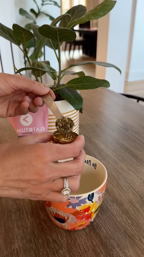 Instagram post by @nicole_hohenstein for FLAT TUMMY CO. Caption reads: [...] bloat being one of them. The @flattummyco....