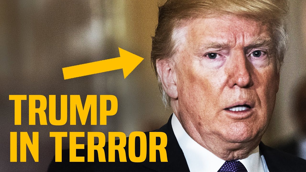 YouTube post by @thedavidpakmanshow for Babbel. Caption reads: WH staffer reveals why Trump is PANICKING.