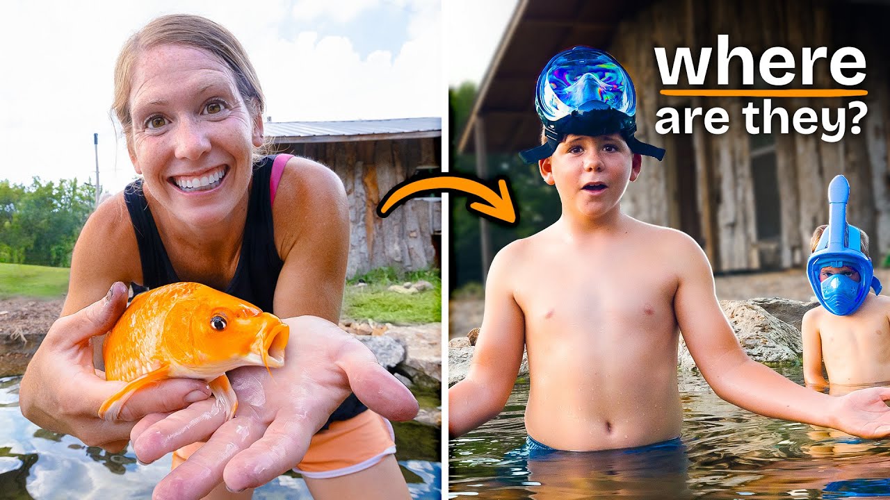 YouTube post by @whitehouseonthehill for Cirkul. Caption reads: We Added Fish to our Aviary Pond, then they....