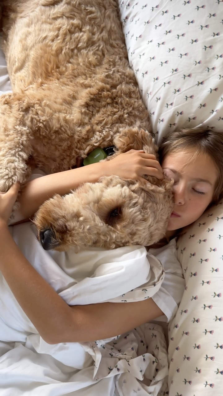 Instagram post by @thewilddecoelis for Endy. Caption reads: [...] That’s why I’m so excited to share that Endy....