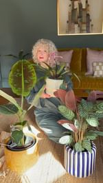 Instagram post by @fromlondontomanchester for Patch Plants. Caption reads: [...] 

I’ve bought many a plant from @patchplants....