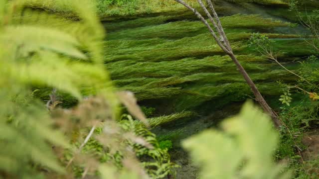 Instagram post by @yevandavidofficial for Castrol. Caption reads: The Castrol Toyota Formula Regional Oceania Trophy....