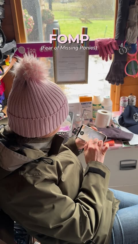 Instagram post by @dinkyponies for Reolink. Caption reads: [...] Who can relate?

AD. I’ve been using....