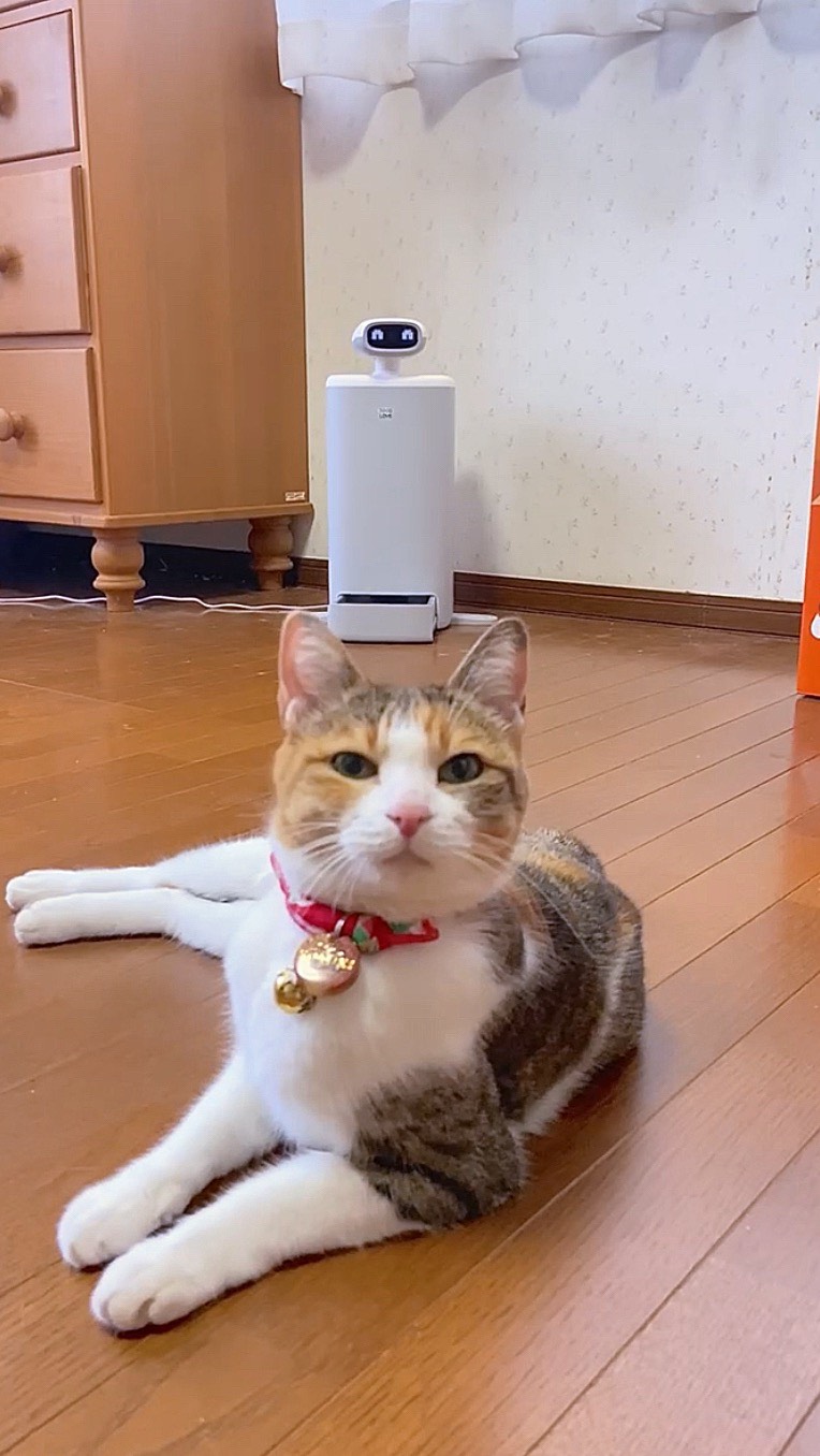 Instagram post by @koyuki_chan01 for 7sGood. Caption reads: [...]....