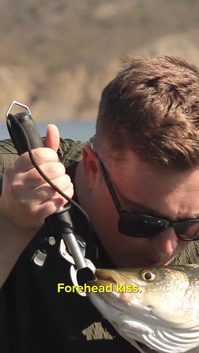 Instagram post by @whatwouldalexanderdo for BuzzFeed. Caption reads: WHAT LIKE IT’S HARD?! 🐟  #strippedbass #fishing....