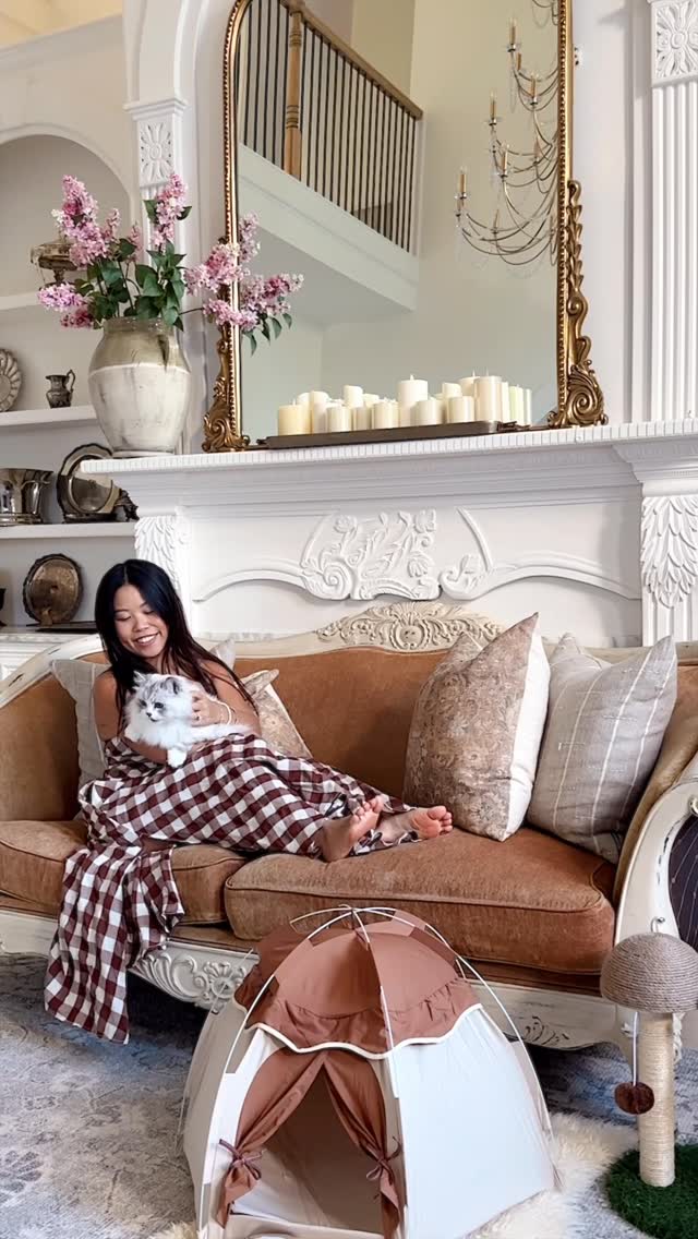 Instagram post by @joyfullygreenhome for Fancy Feast. Caption reads: ⛺️#ad A camping treat box you know they’ll love!....