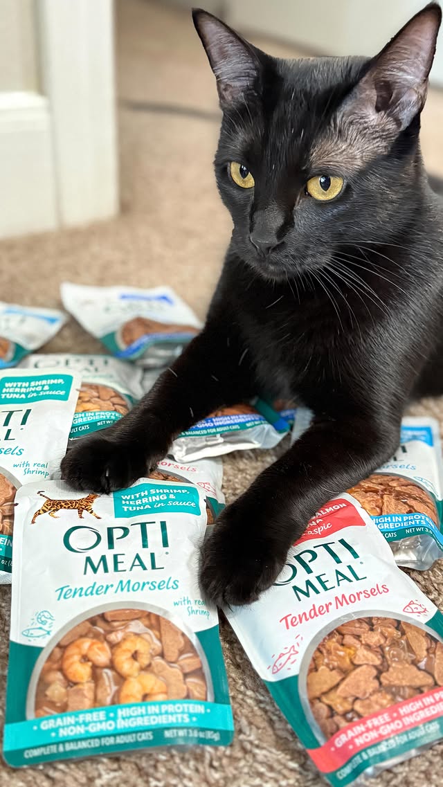 Instagram post by @safarovs_american_life for Optimeal. Caption reads: 🐾 The perfect meal for your cat! 🐱 Optimeal....