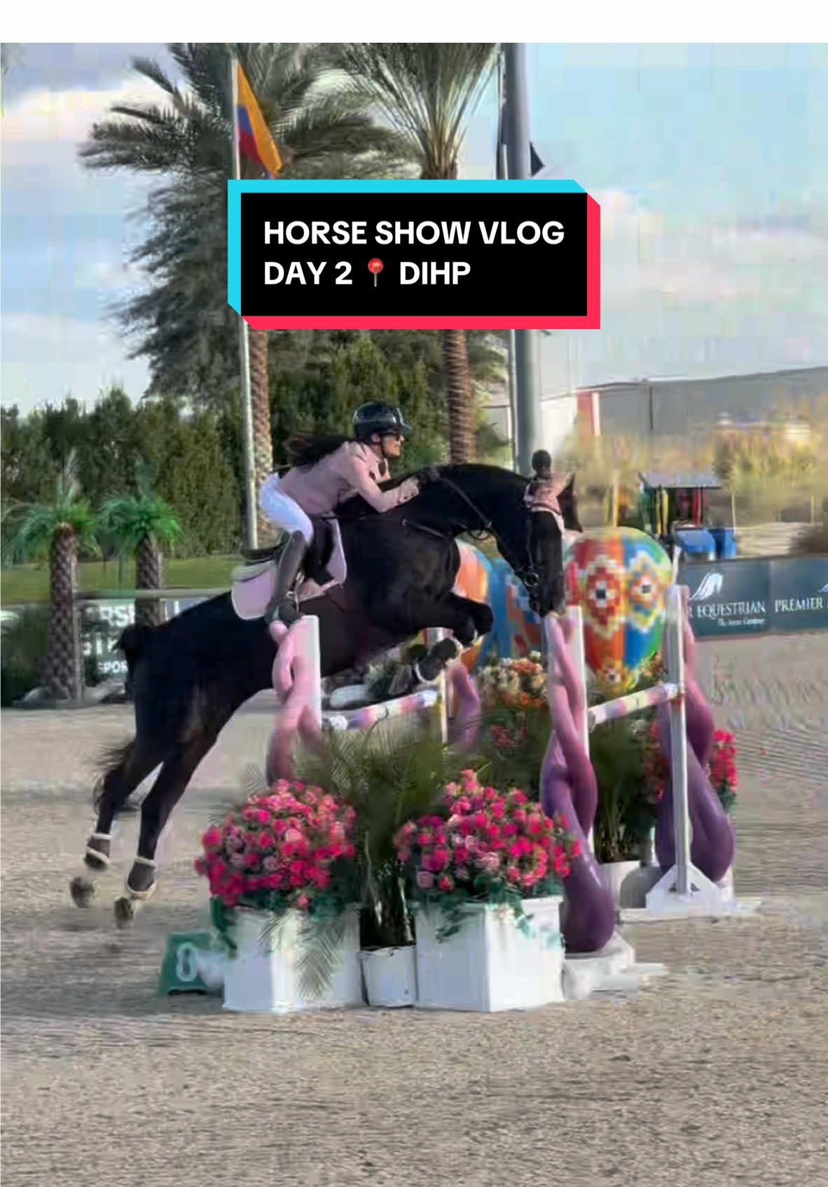 TikTok post by @melnasab for Dada Sport. Caption reads: [...] off tomorrow :) details: show outfit @Dada....