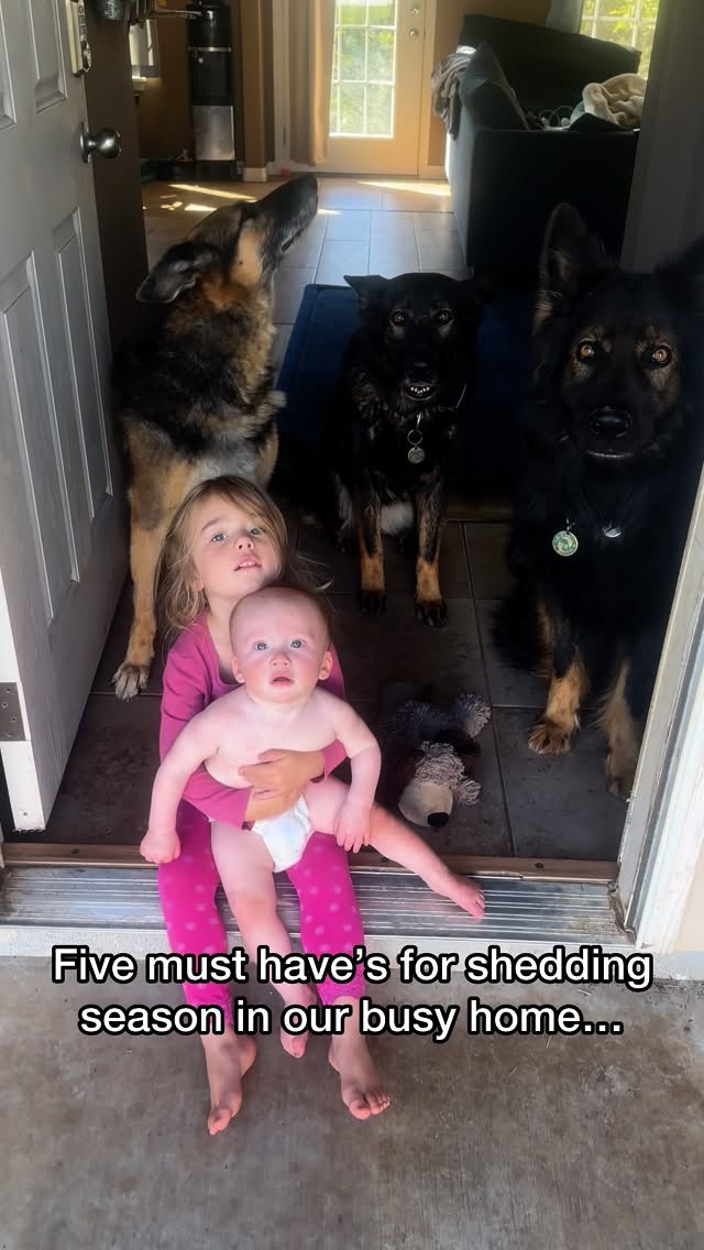 Instagram post by @von.jakoba for Levoit. Caption reads: We’re always asked what vacuum we recommend!....