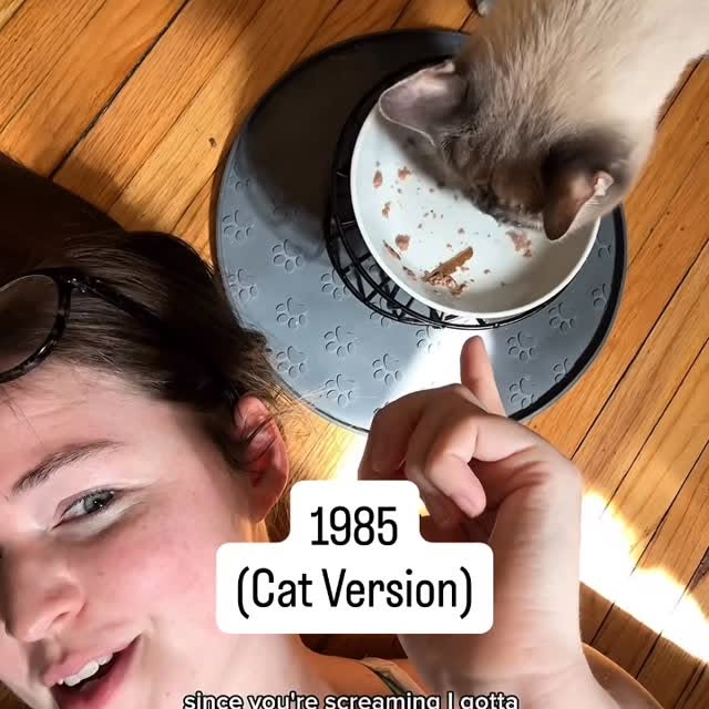 Instagram post by @meowfecta for Weruva. Caption reads: [...] gives their kitties extra snackies....