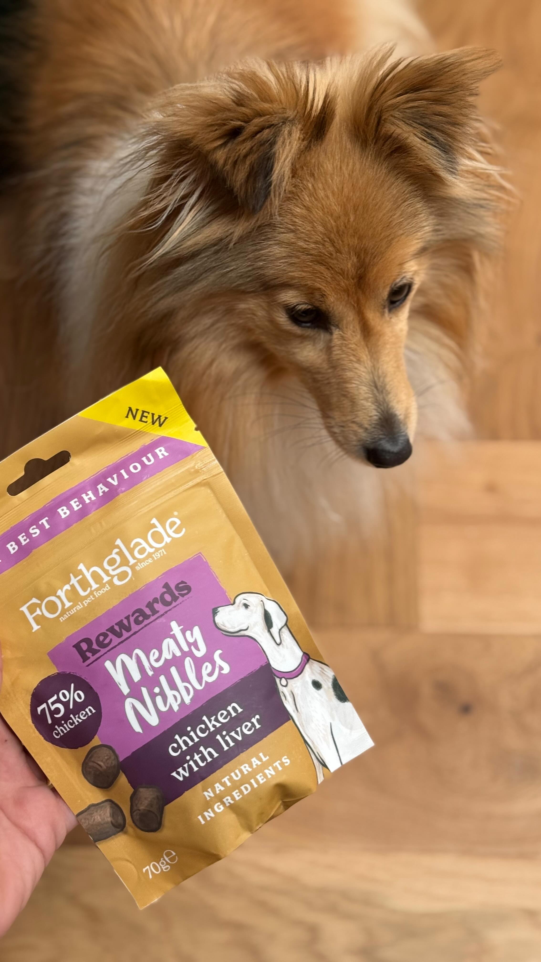 Instagram post by @londonsheltiecallie for Forthglade. Caption reads: Nothing to see here 👀 

Only Callie having found....