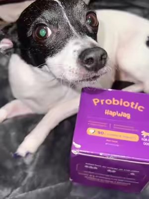 TikTok post by @kim21621 for HapWag. Caption reads: [...] health with probiotic enrichment @HAPWAG....