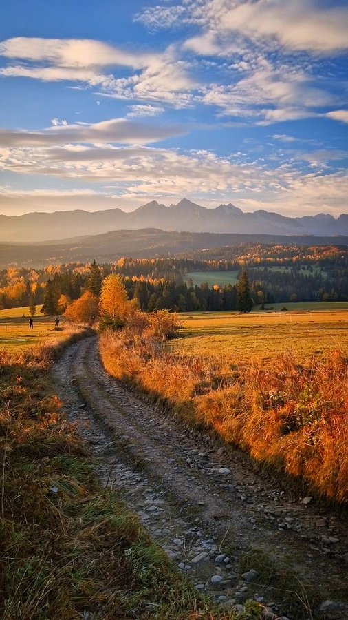 Instagram post by @borievkyphotogallery for Earth. Caption reads: Morning with Tatras mountains view....