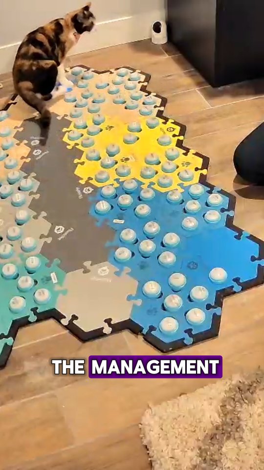 Instagram post by @elsiewants for FluentPet. Caption reads: [...] I get the AIC button boards from @fluentpet....