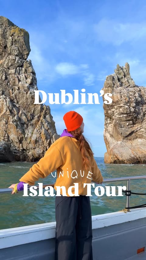 Instagram post by @rozannapurcell for Discover Ireland. Caption reads: #AD ⛴️ A great Dublin tour to do on a crisp....