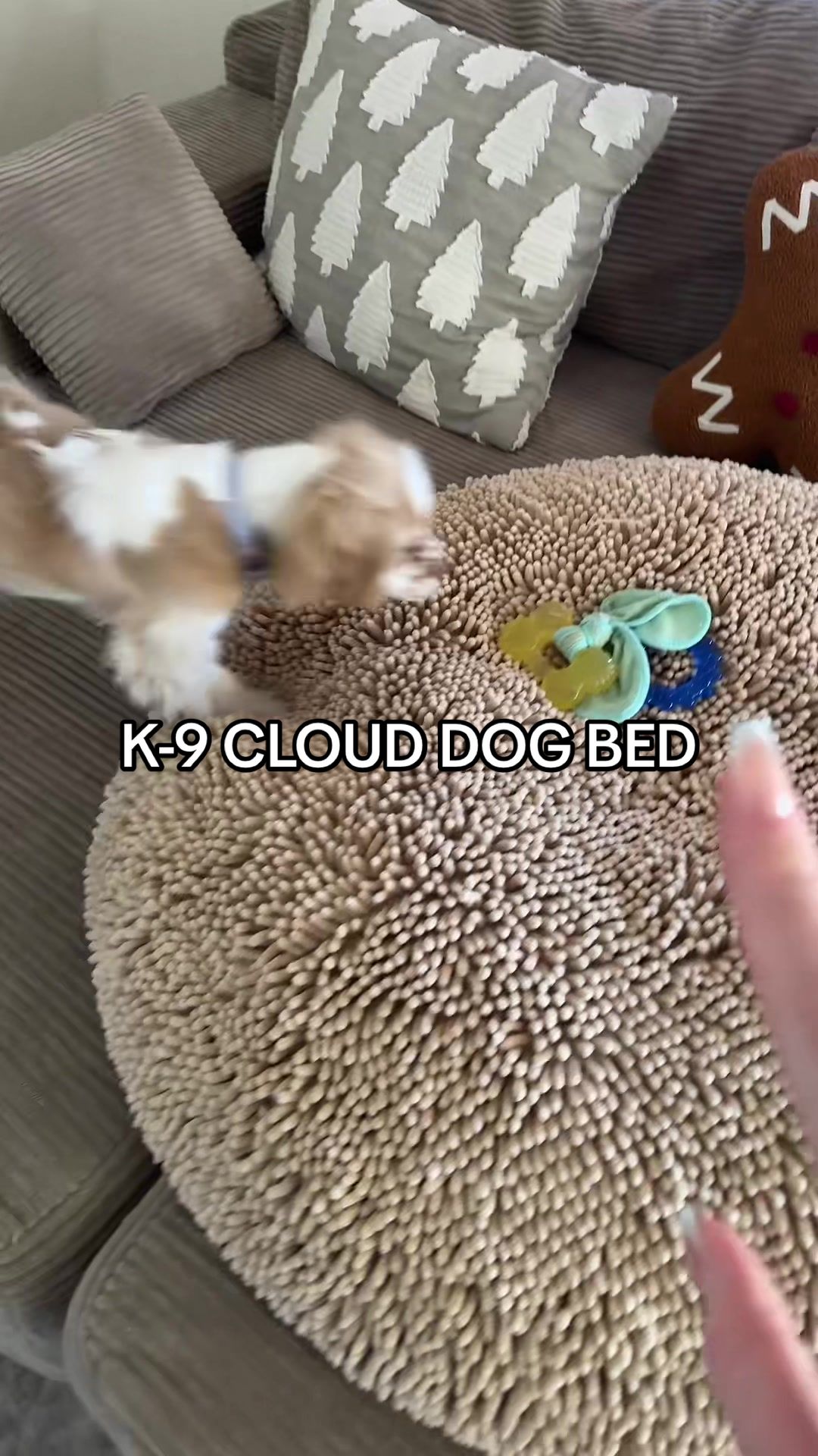 TikTok post by @fit_foodie7 for Muddy Mat. Caption reads: [...] resting space could be the reason. @Muddy....