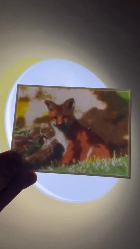 Instagram post by @3d_printall for Flashforge. Caption reads: [...] printed color lithophane with my new....