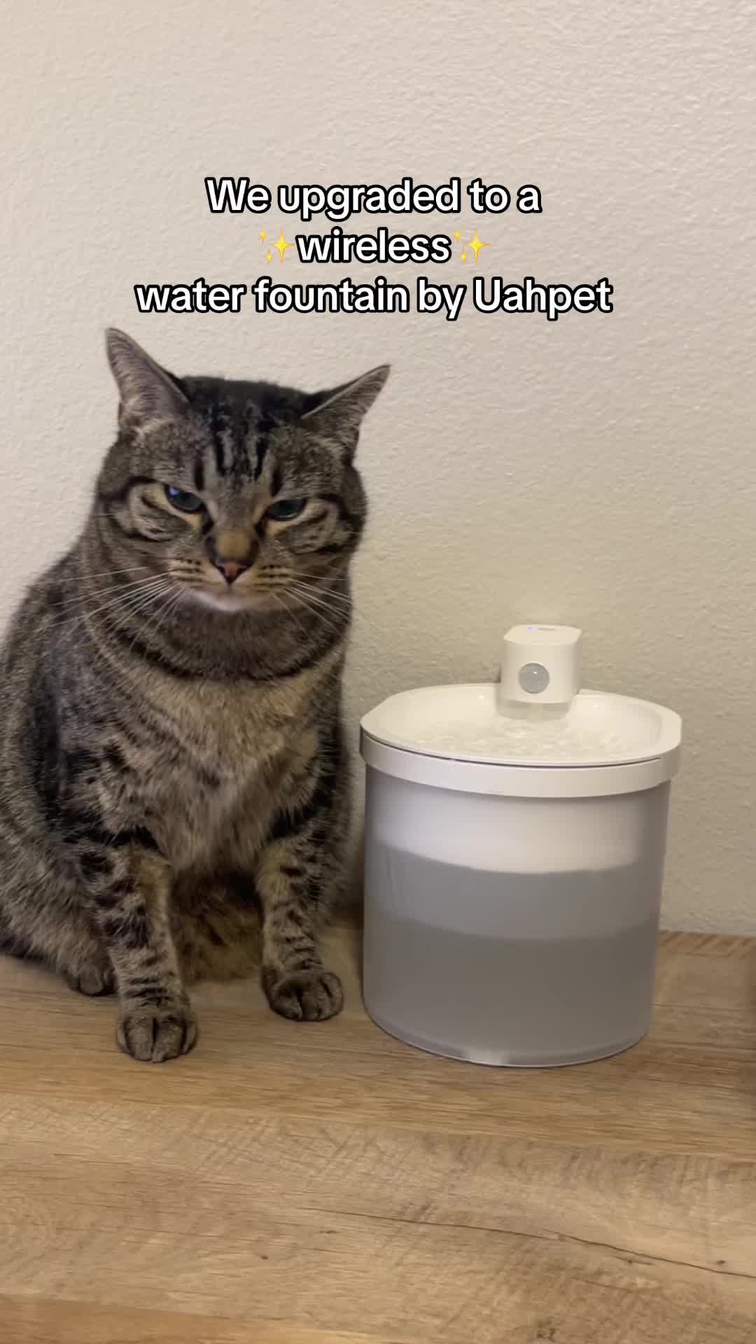 TikTok post by @thecrazyfurbabies for Uahpet Shop US. Caption reads: Cat water fountain!! @Uahpet Shop US #uahpet....
