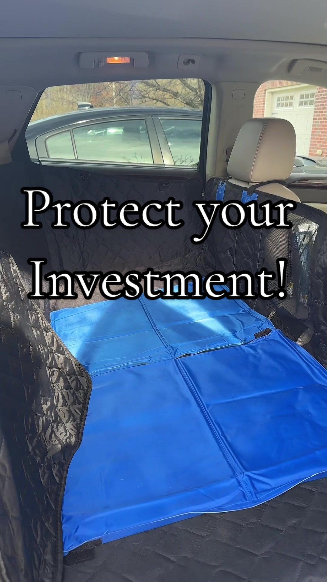 TikTok post by @franklin_thebulldog for Joytutus. Caption reads: Thank you @JOYTUTUS for this incredible cover from....